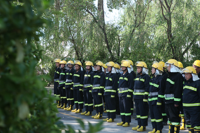 1527495604828687mEJm.jpg 3.JPG